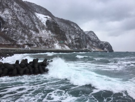 076 Ororon(common murre) line road of Japan sea coast